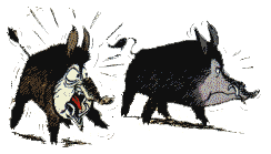 jabali