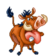 gif jabali