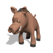 jabali animado