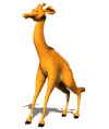 jirafa