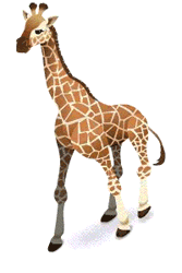 gif de jirafa