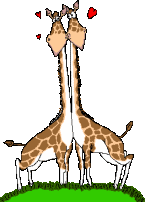 jirafas