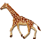 gif de jirafa