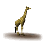 jirafa
