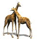 jirafa