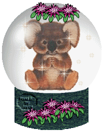 gif de koala