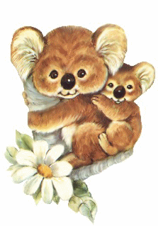 gif koala