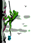 gif de lagarto