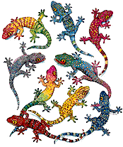 lagarto