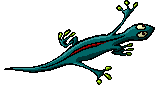 lagarto animado