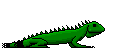 gif de lagarto
