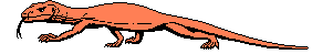 lagarto