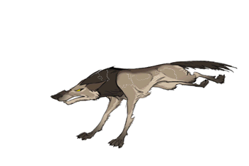 lobo animado
