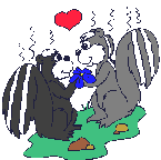 gif de mofeta