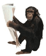 gif mono