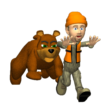 oso persiguiendo