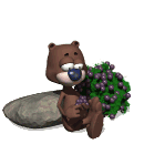 gif de oso