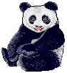 gif de oso panda