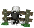 ovejas