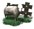 gif de oveja