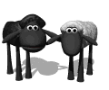 oveja animada