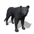 gif de pantera