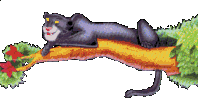 pantera negra