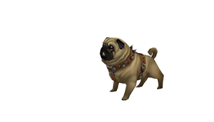gif de perrito rascandose