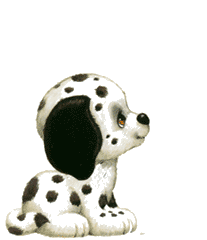perro