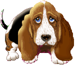 gif de perro