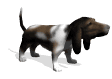 gif de perro