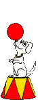 animacion de perro