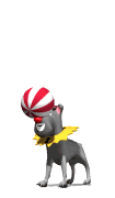 perro circo