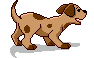 perro cachorro