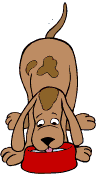 gif perro
