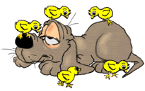mascota animada