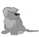 gif de perro