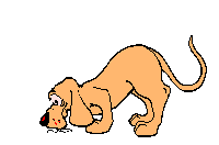 gif perro