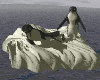 animacion de pingüino
