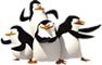 pingüino
