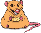 animacion de rata