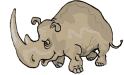 gif rinoceronte