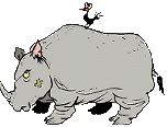 animacion de rino