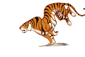 gif de tigre