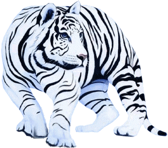 gif de tigre