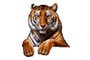 tigre