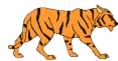 tigre animado