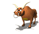 Toro