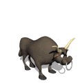 animacion de toro