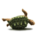 gif tortuga volcada
